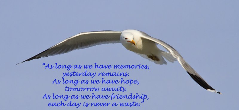 Memories Hope Friendship