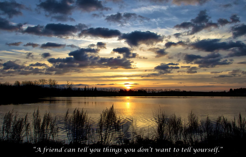 A Friend Can