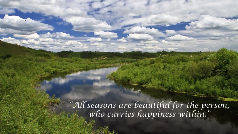 All Seasons