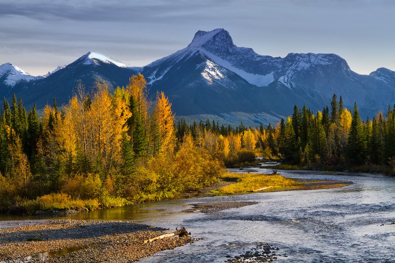 Along Highway 40 Kananaskis area