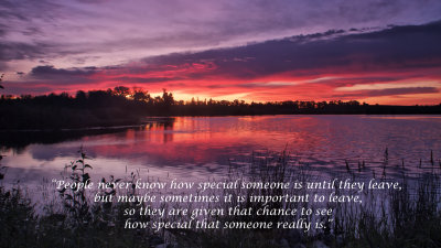 Special Someone