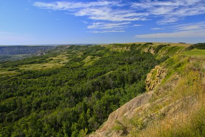 Dry Island Buffalo Jump August 2011 one