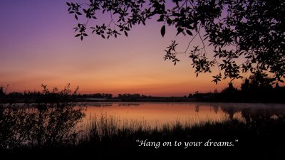 Hang On to Your Dreams