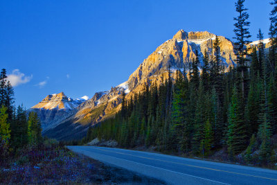 Evening Light