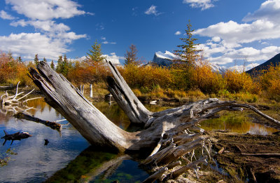 Mt. Rundle