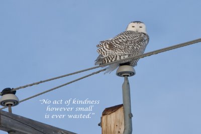 Act of Kindness