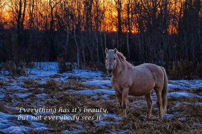 Everything