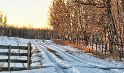 Road by Pigeon Lake Just Before Sunset