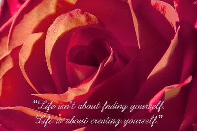 Creating Yourself