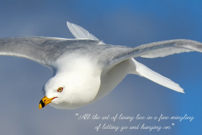 Hanging On
