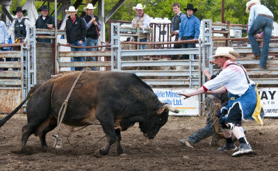 Safety of the Bull Rider First