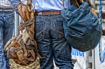 Going to the Rodeo