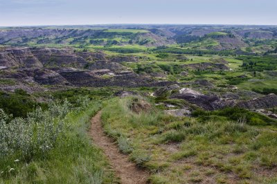 Looking east from the top of Dry Island Buffalo Jump