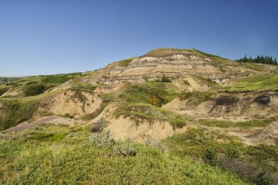 Dry Island Buffalo Jump and Landscape In The Area 2012