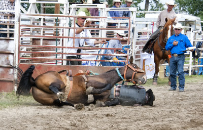This Rider was a little sore.. 