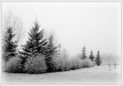 Black and White Photoshop CS work 10 photo's