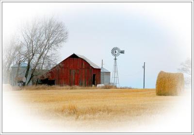 On The Farm