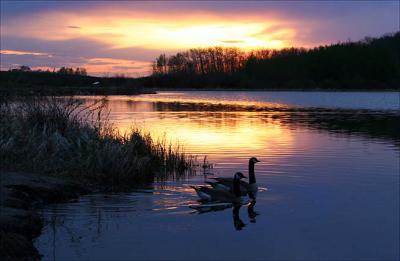 May Sunset of Beauty