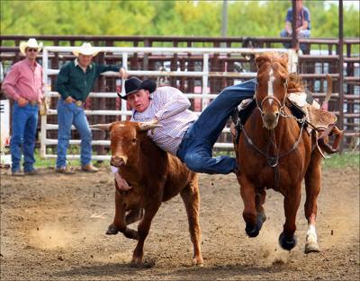 Another Steer Wrestling