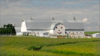 The Happy Barn