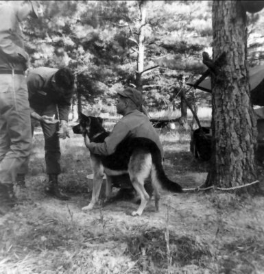 Scout Dog & handler Martin L Mugavin KIA 1967, and Frank Cantania, Vet Tec