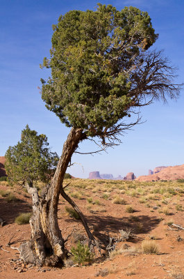 MonumentValley-010.jpg