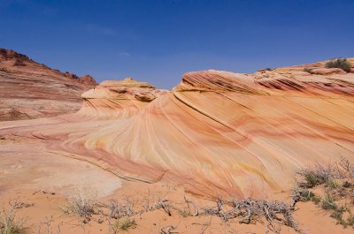 TheWave-118.jpg