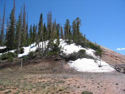 CedarBreak_004.jpg