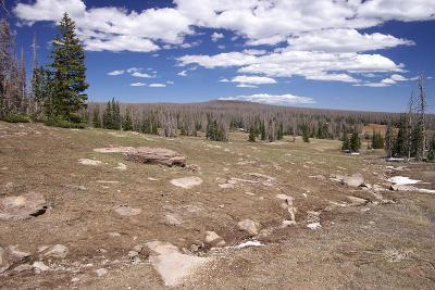 CedarBreak_013.jpg