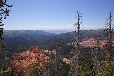 CedarBreak_016.jpg