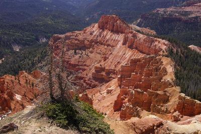 CedarBreak_021.jpg