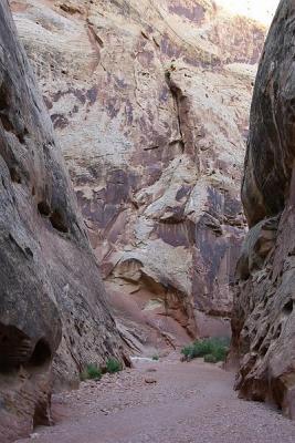 CapitolReef_037.jpg