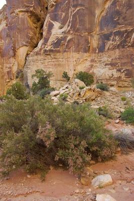 CapitolReef_038.jpg