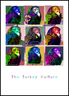 Turkey-Vultures.jpg