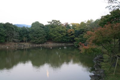 ©`¨}¤½¶é Nara Park