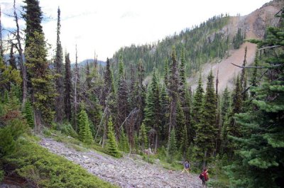 Being near the tree-line means working on scree slopes sometimes