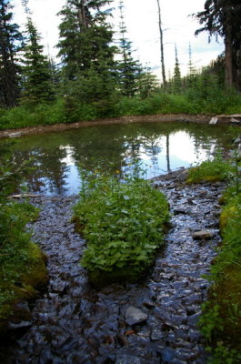 a waterway used by trappers that was fitted with piping