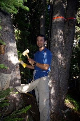 Me chiselling out a square section of bark to figure out beetle density and development