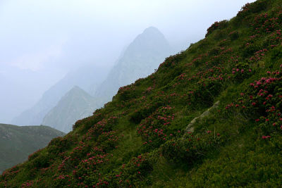 IMG_9447.jpg