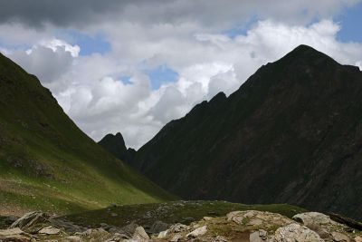 IMG_9478.jpg