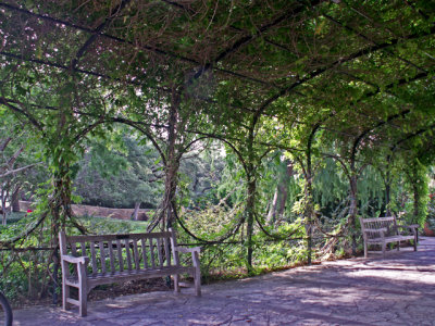 6-12-2011 Botanical Garden Arbor.jpg