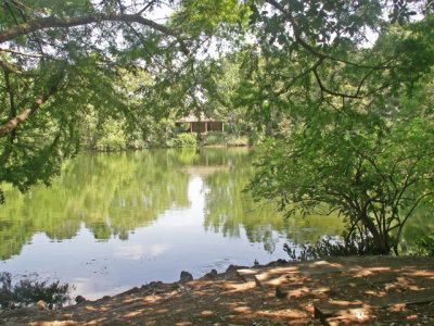6-12-2011 Botanical Garden 16.jpg