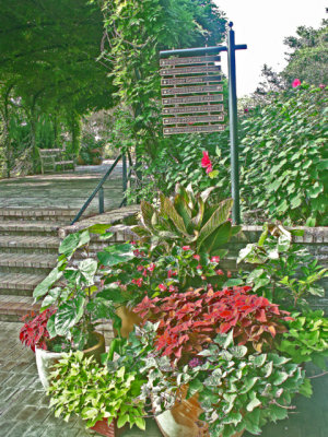 6-12-2011 Botanical Garden 30.jpg