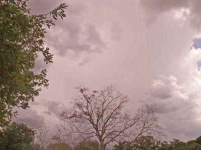 7-10-2011 The Rain Cometh.jpg