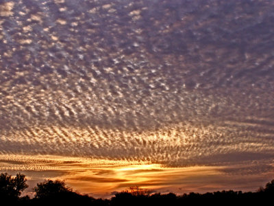 3-15-2012 Sunset 1.jpg