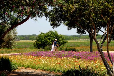 4-28-2012 Wildseed Farms 8.jpg