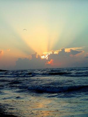 Sunrise Over the Gulf of Mexico.jpg