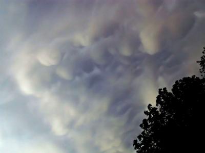Mammatus Clouds3.jpg