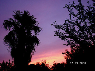 Purple Sunset.jpg