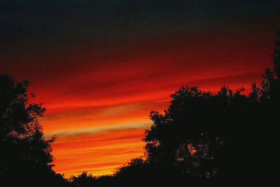 Red Banded Sunset.jpg